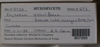 Image Associated With the Occurence